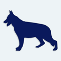 Samolepka pes v aut - vlk