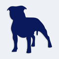 Samolepka pes v aut - stafordrsk bulterir