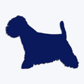 Samolepka pes v aut - west highland terrier