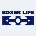 Samolepka na auto s nápisem Boxer life