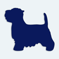 Samolepka pes v aut - jorkrsk terir