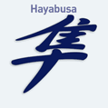Samolepka na auto s čínským znakem Hayabusa