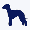 Samolepka pes v aut - bedlington terir