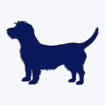 Samolepka pes v aut - glen of imaal terrier