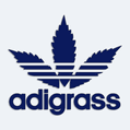 Samolepka na auto adigrass