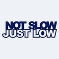 Nlepka na auto s npisem Not slow just low